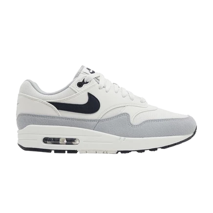 Кроссовки Nike Air Max 1 Pure Platinum Dark Obsidian, серые
