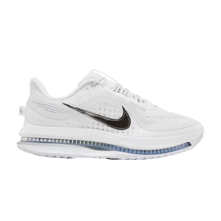 Женские кроссовки Nike Pegasus Premium, белые/серебристые