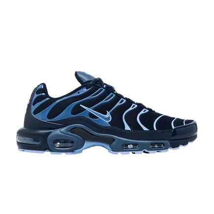 Мужские кроссовки Nike Air Max Plus, синие