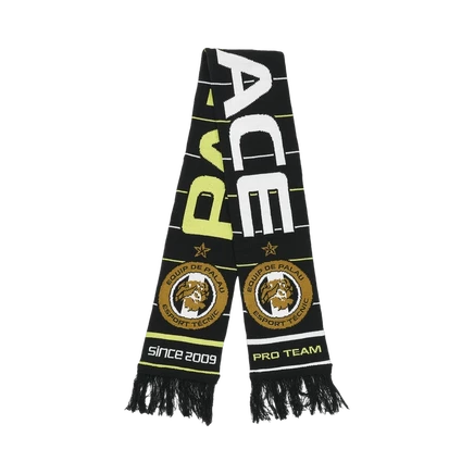Шарф Palace Pro Team, черный