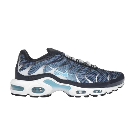 Кроссовки Nike Air Max Plus, темно-синие