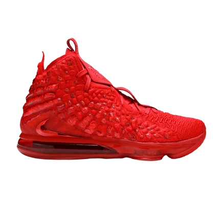 Nike LeBron 17 
