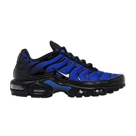 Кроссовки Nike Air Max Plus Premium, черно-синие