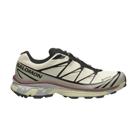 Трейловые кроссовки Salomon XT-6 GORE-TEX, зеленые