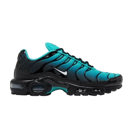 Кроссовки Nike Air Max Plus «Light Retro», синие