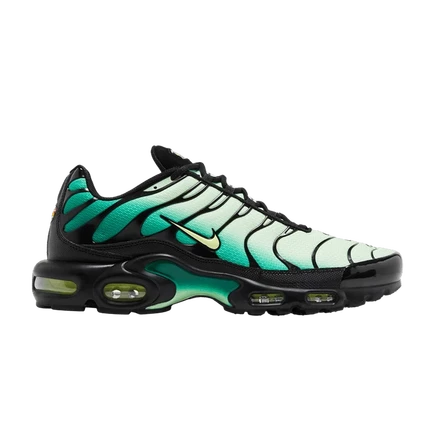 Кроссовки Nike Air Max Plus с зеленым градиентом