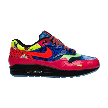 Кроссовки Nike Air Max 1 Premium EP «Longevity», многоцветные