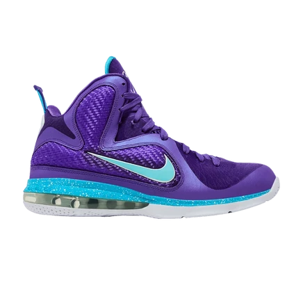Кроссовки Nike LeBron 9 «Summit Lake Hornets», фиолетовые