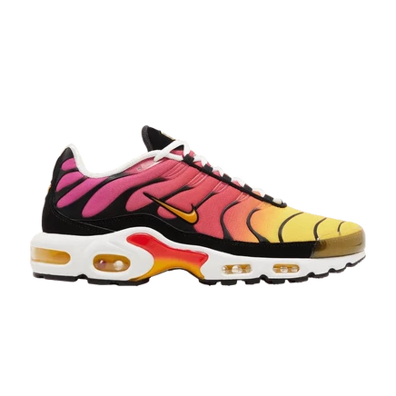 Кроссовки Nike Air Max Plus OG, разноцветные