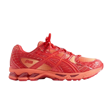 Мужские кроссовки Asics Gel Nimbus 10.1, разноцветные