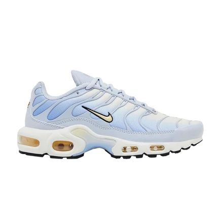 Женские кроссовки Nike Air Max Plus Daybreak, синие