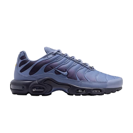 Кроссовки Nike Air Max Plus 'World Indigo' синего цвета