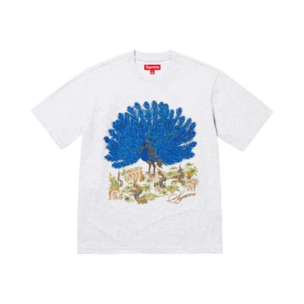Мужская футболка Supreme Peacock, светло-серая