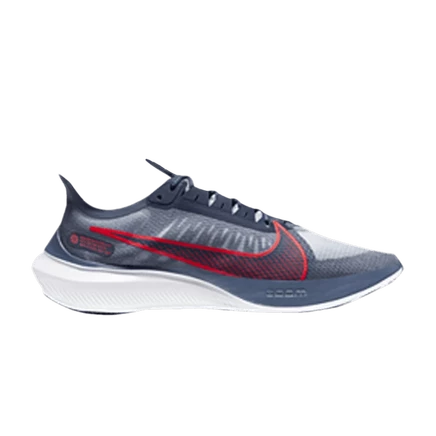 Мужские кроссовки Nike Zoom Gravity, синие
