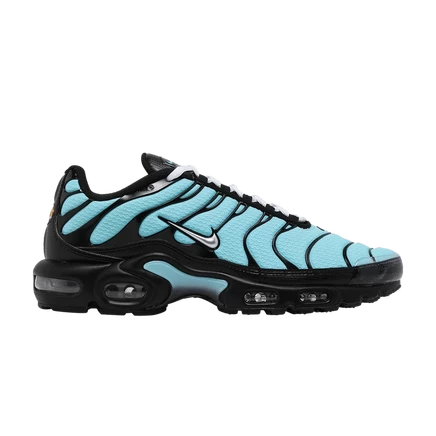 Кроссовки Nike Air Max Plus «Aqua Silver», синие
