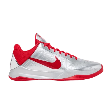 Кроссовки Nike Zoom Kobe 5 Protro Caitlin Clark, серебристые