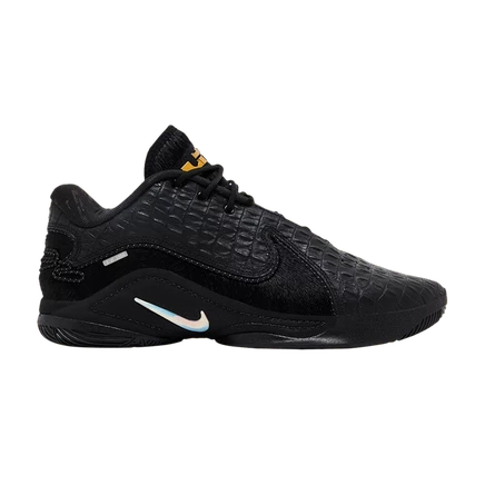 Кроссовки Nike LeBron 22 LX Black Label Pack, черные