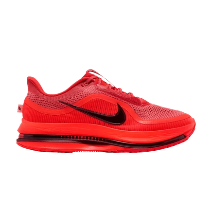 Кроссовки Nike Pegasus Premium 