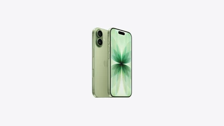 Смартфон iPhone 17 sage