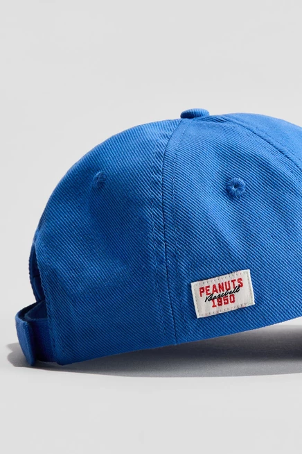 blue/snoopy