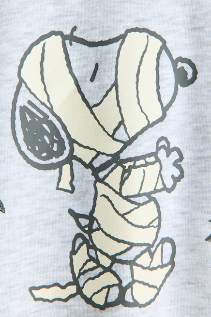 Brushed-Inside Sweatshirt with Printed Motif light gray melange/snoopy