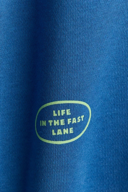 Printed Brushed-Inside Sweatshirt blue/sonic the hedgehog