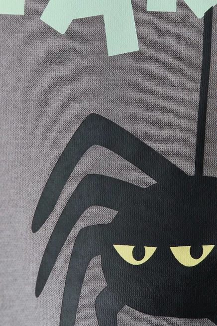 Printed Brushed-Inside Sweatshirt gray/spider