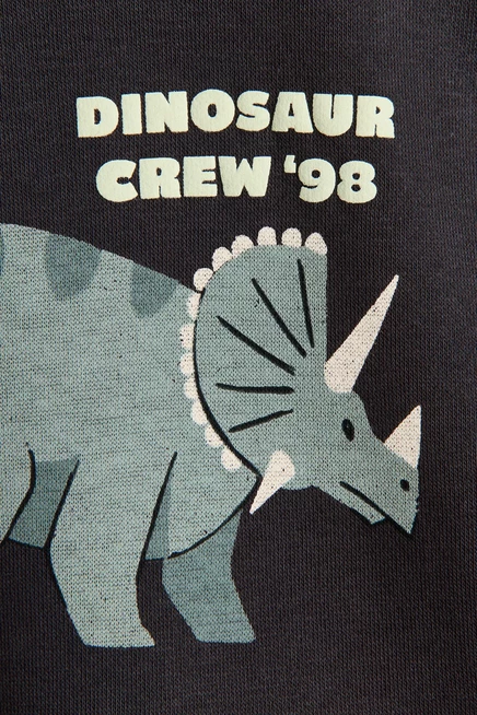Printed Sweatshirt charcoal gray/dinosaur crew