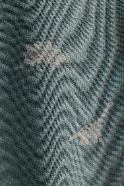 Brushed-Inside Sweatshirt dark turquoise/dinosaurs