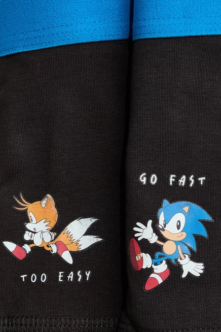 blue/sonic the hedgehog