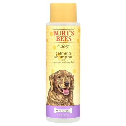 Burt's Bees, Успокаивающий шампунь для собак с лавандой и зеленым чаем, 473 мл (16 жидк. Унций)