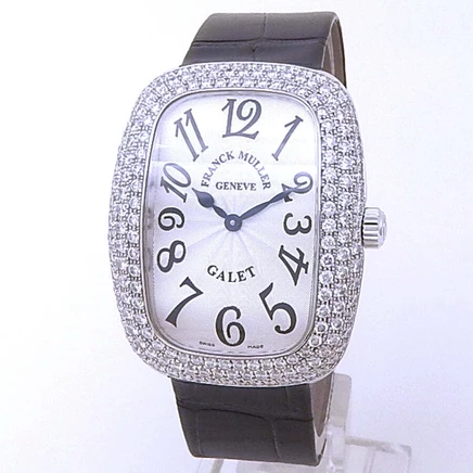 Мужские часы Franck Muller 3002 M QZ V D3, серебристые