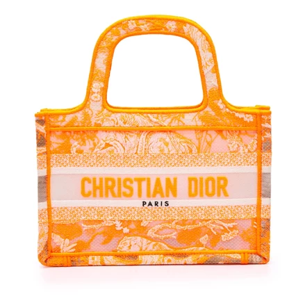 Женская сумка Dior Mini Book Tote