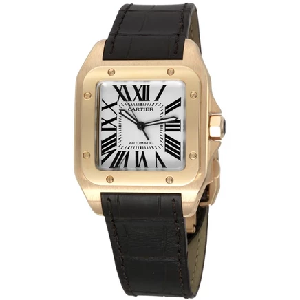 Мужские часы Cartier Santos 100 W20095Y1, опаловые
