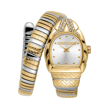 Женские часы Roberto Cavalli Aurora RC5L133M0065, серебристые