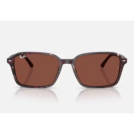 Очки Ray-Ban Raimond RB2231, прозрачные фиолетовые