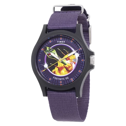 Мужские часы Timex Acadia TW2Y46300, фиолетовые