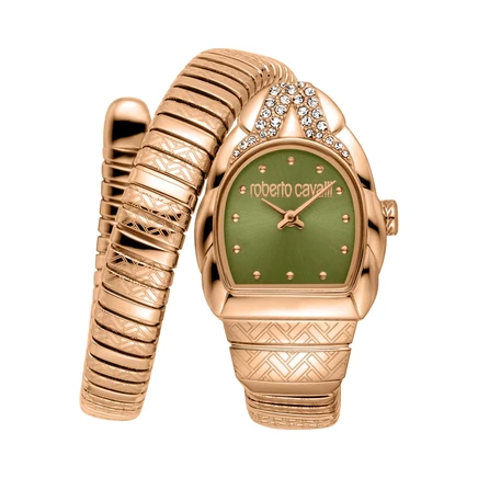 Женские часы Roberto Cavalli Aurora RC5L133M0055, зелёные