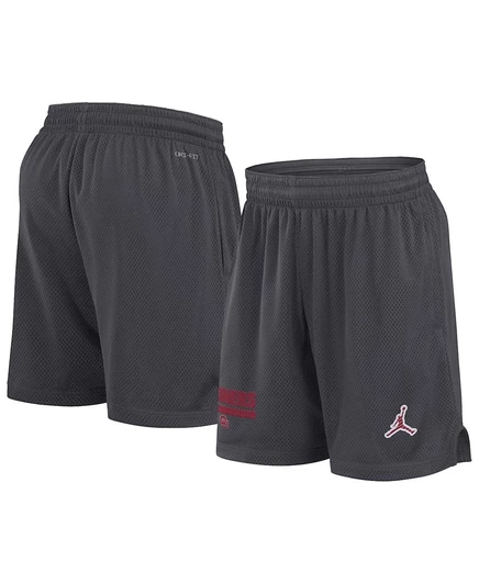Мужские шорты Jordan Sideline Oklahoma Sooners 2024, серые