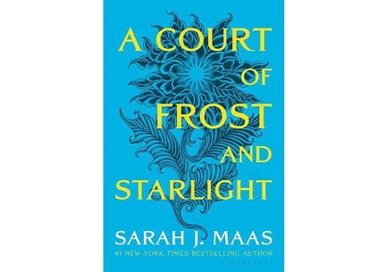 Книга Sarah J. Maas «A Court of Frost and Starlight», мягкая обложка