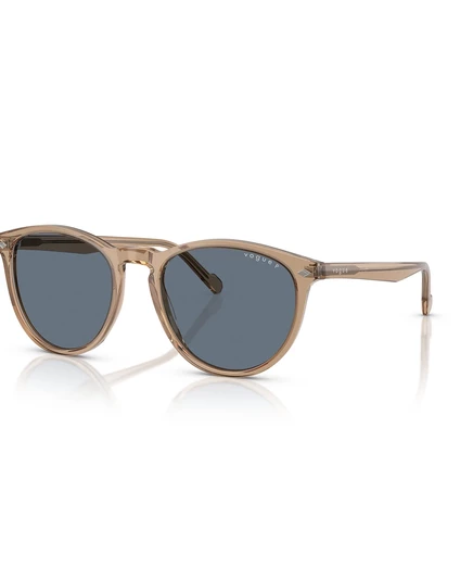 Мужские поляризованные солнцезащитные очки Vogue Eyewear VO5599S transparent brown