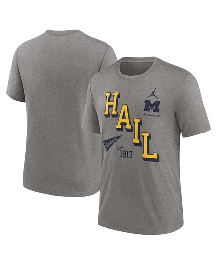 Мужская футболка Jordan Michigan Wolverines трибленд, серая