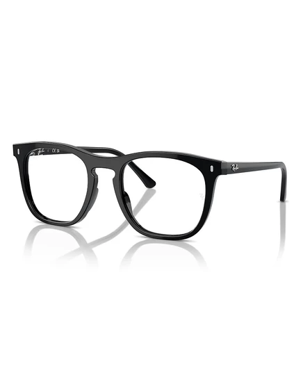 Унисекс оправа Ray-Ban RB2210V, черная