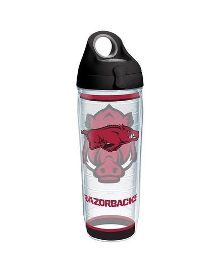 Термобутылка Tervis Arkansas Razorbacks 710 мл, многоцветная