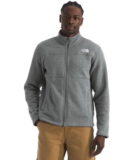 Мужская флисовая куртка the north face gordon lyons на молнии, серая