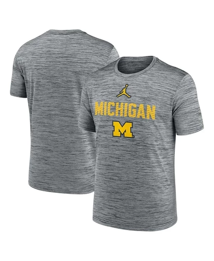 Мужская футболка Jordan Campus Slant Velocity, Michigan Wolverines, серая