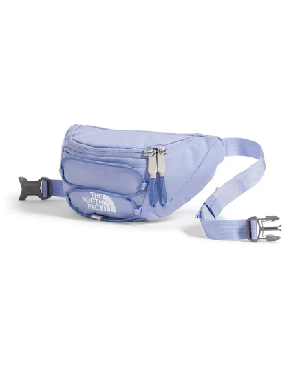  Мужская поясная сумка Jester The North Face purple mint, virtual blue