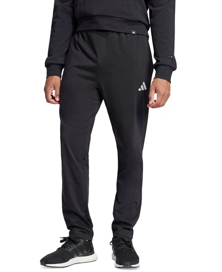 Мужские спортивные брюки Adidas Essentials Small Logo, черные