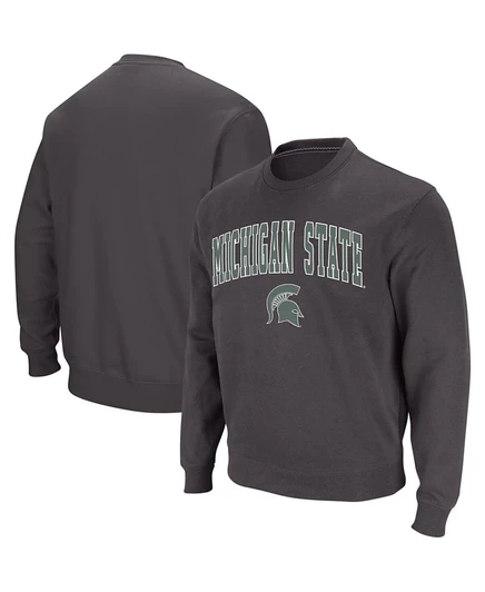 Мужской свитшот Colosseum Michigan State, серый