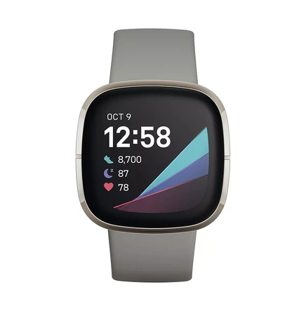  Умные часы Sense Advanced Health с серебристым каучуковым ремешком silver